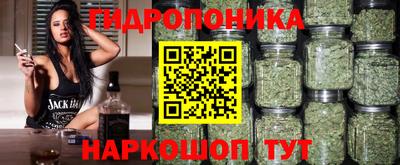 ECSTASY Пенза