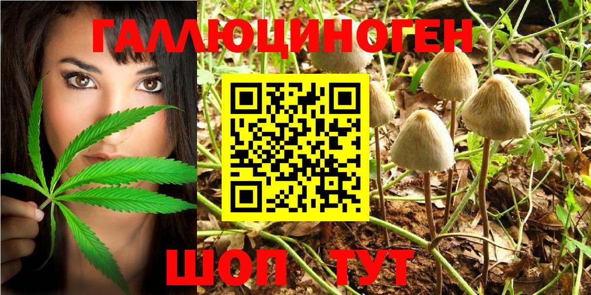 Псилоцибиновые грибы Psilocybe  Вход с VPN  Удомля 